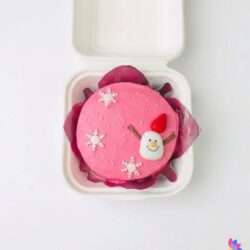 Bento Cakes